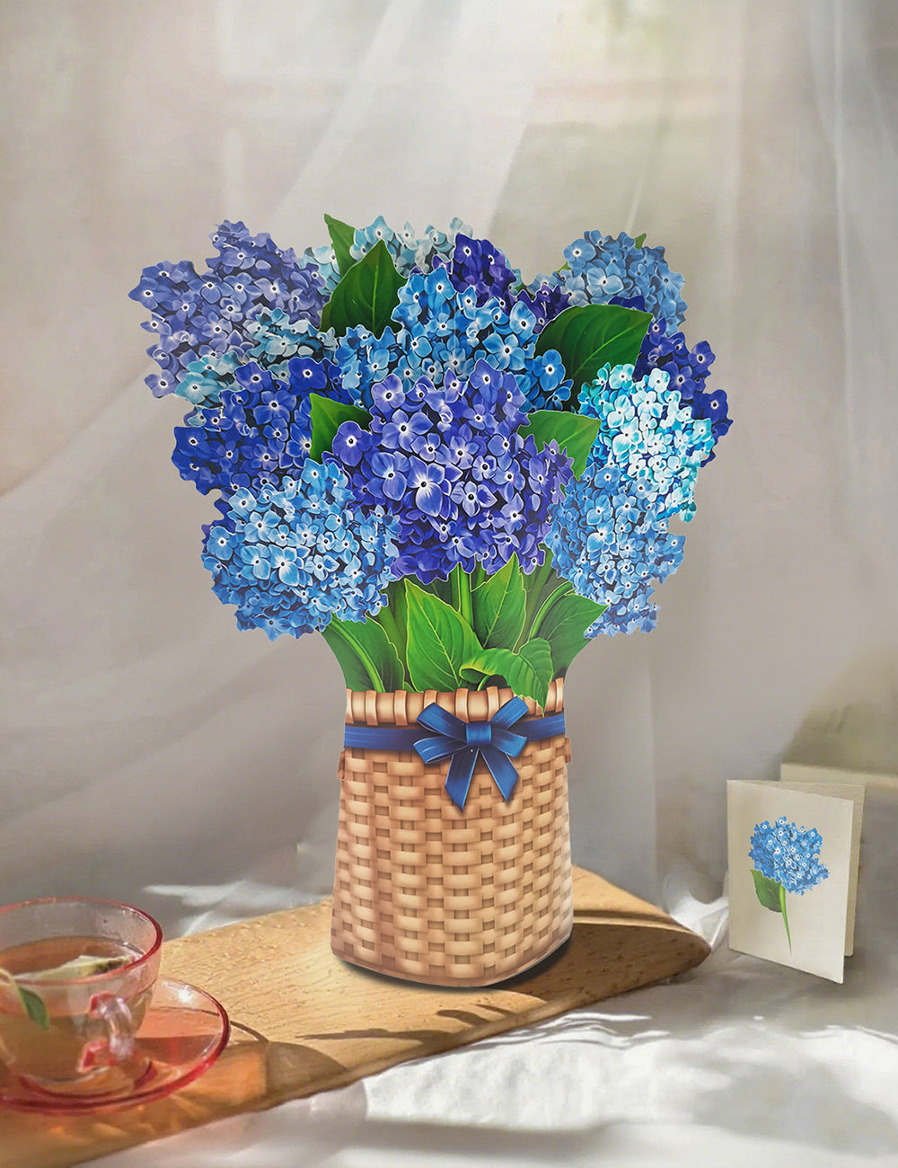 Nantucket Hydrangea